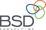 BSD Consulting